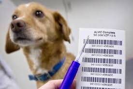 Oznam pre vlastníkov psov – trvalé označenie psa transpondérom (čipom)